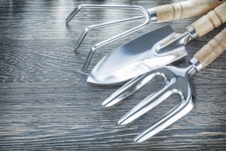 Rake trowel fork hand spade on wooden board