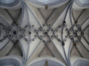 Ribbed vault in the church of St Marien Borna. Saxony, Germany, Europe