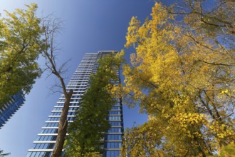 Architecture, modern high-rise apartment building, Montreal, Province of Quebec, Canada, North