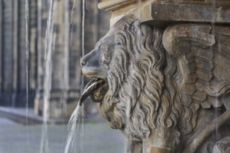 Lion statue and fountain on the square near Cologne cathedral, Germany, Europe