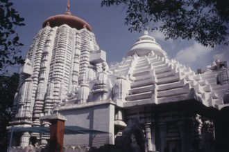 Kedar Gouri Temple in Bhubaneshwar, Orissa, India, Asia