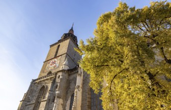 A picture of The Black Church tower in the fall