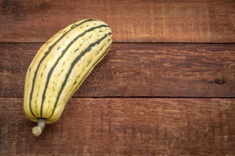 Delicata winter squash against rustic red painted wood barn table with a copy space