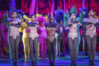 La Cage Aux Folles (A Cage Full of Fools)