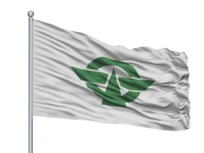 Kodaira City Flag On Flagpole, Country Japan, Tokyo Prefecture, Isolated On White Background