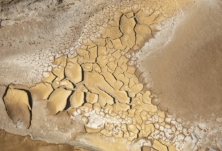 Dry cracked ground background. Concept image of global warming