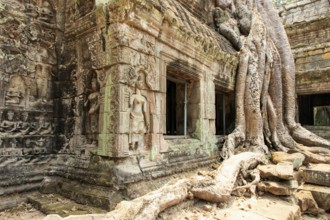 Ta Prohm temple complex near Angkor Wat in Cambodia