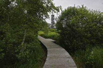 Bannwaldturm im Pfrunger-Burgweiler Ried in Oberschwaben, Baden-Württemberg, protected forest tower