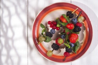 Presentation set of skewers of berries, summer dish