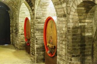 Wine cellar with wine barrels