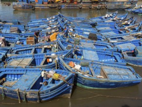 Blue fishing boats in Essaouira port, Morocco, Africa