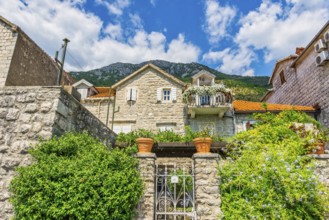 Residence in Perast surrounded by bushes and flowers, Montenegro, Europe