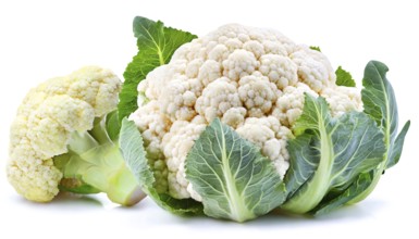 Fresh whole and partial cauliflower with green leaves isolated on a white background in high