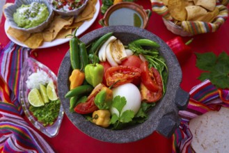 Molcajete with chili for chile ranchera sauce from Mexico