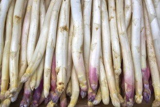 Asparagus in a row stacked in outdoor market