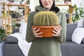 Large echinocactus Gruzoni in the hands of a woman in the interior of a green house with shelving