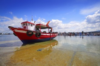 O Grove Ogrove port with fishing boats of Arosa river in Pontevedra of Galicia Spain