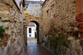 Zamora door of Dona Urraca in Spain by the via de la Plata way of Saint James