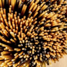 Mixed spaghetti viewed from the top