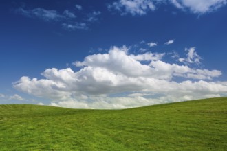 On a empty golf course in spring day