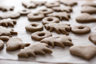 Baked easter gingerbread cookies on the white plate Closeup shot with selective focus