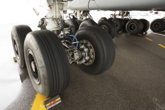 A380 airplane's tires at Sofia's airport