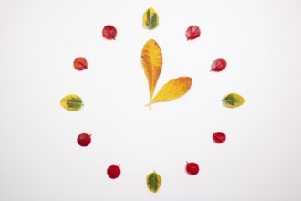 Autumn Time - Clock of autumn leafs