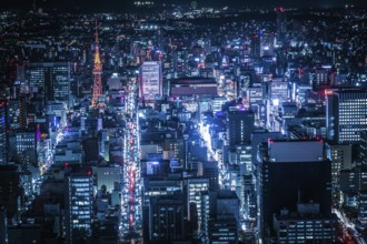 Nagoya night view (from Sky Promenade). Shooting Location: Aichi Prefecture, Nagoya City