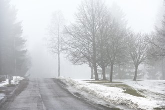 Road and park in fog in early spring in Finland