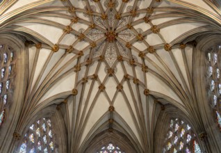 Wells, Cathedral, Lady Chapel, vaulted ceiling