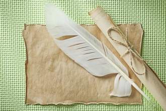 Vintage sheet paper roll quill on green surface horizontal view