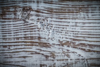 Longstanding natural wooden background top view