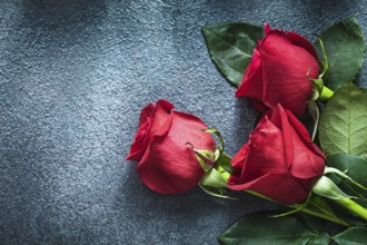 Bunch of red roses on black background celebrations concept