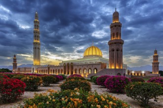 Countryside, Oman, Mosque, blue hour, Illuminated, Building, Architecture, Sultan Qabus Grand