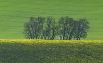 The small white Santa Barbara chapel surrounded by rape and wheat fields. Beautiful abstract