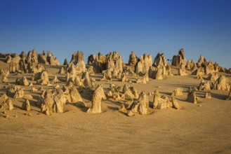 Pinnacles Desert, Nambung National Park, Kalbarri Region, Western Australia, Australia, Oceania