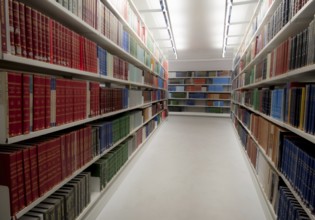 Stack of various information Books for study on a University library bookshelf
