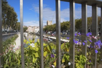 Market day in French Narbonne with flowers from the bridge