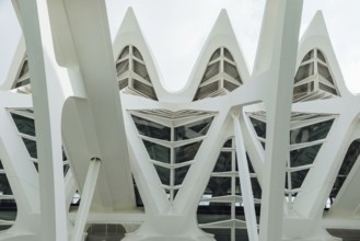 Valencia, Spain, July 30, 2023: Museum of Sciences Prince Philip in the City of Arts and Science.