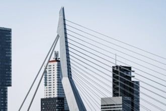 Rotterdam, Netherlands, May 8, 2022: Port of Rotterdam skyscraper and Erasmusbrug bridge against