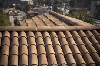 Tiles on old castle roof, architecture background. Brown roof tiles