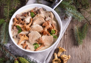 Pork tenderloin with Chanterelle sauce