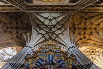 Salamanca, Spain, January 15, 2022: Cathedral of Salamanca. Interior view of the vaults, Europe