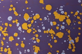 Beautiful abstract art of Ebru marbling painting techniques on water with paints