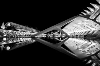 Futuristic architectural structure reflected in water at night in black and white, City of Arts and