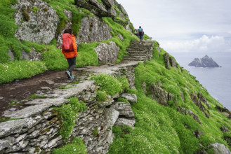 Visitors on the steep path up to the monastery, Skellig Michael island, Mainistir Fhionáin (St.