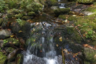 Cascade falls over mossy rocks in the vosges mountains