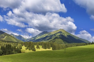 Landscape with Alps mountains in Styria, Austria, Europe