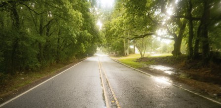 The pavement is wet as it rains on the road through southern agriculture producing landscape