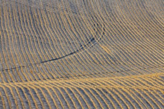 Saskatchewan plains winter extreme cold prairie scenic
